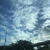 (Category: ) located in . Submitted by shokaku.igarashi (Listing ID 1455808547, Image 1). Description: .