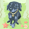 (Category: ) located in . Submitted by marialoreta (Listing ID 1460744092, Image 1). Description: .