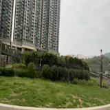 (分類:)位於 。 由 lamdaniel20 提交(商品編號 1442777255,圖片 1)。簡介: 。