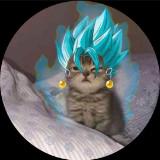(分類:)位於 。 由 god_blue 提交(商品編號 1464264084,圖片 1)。簡介: 。