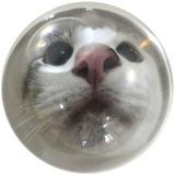 (Category: ) located in . Submitted by ercrnct (Listing ID 1460586043, Image 1). Description: .
