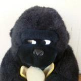 (Category: ) located in . Submitted by xiandanpigu (Listing ID 1417357065, Image 1). Description: .