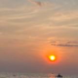 (Category: ) located in . Submitted by limxiaolok (Listing ID 1461617146, Image 1). Description: .