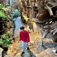 (Category: ) located in . Submitted by yvosss (Listing ID 1465293191, Image 1). Description: .