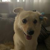 (Category: ) located in . Submitted by aolienx (Listing ID 1434250998, Image 1). Description: .