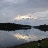 (Category: ) located in . Submitted by patricia1209 (Listing ID 1438807602, Image 1). Description: .