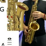 (Category: ) located in . Submitted by musician101_sax (Listing ID 1440833442, Image 1). Description: .