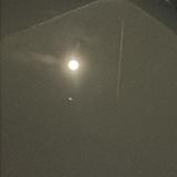 (Category: ) located in . Submitted by wrlwrl (Listing ID 1440458153, Image 1). Description: .
