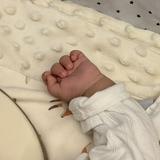 (分類:)位於 。 由 321ovo 提交(商品編號 1421161870,圖片 1)。簡介: 。