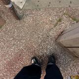 (Category: ) located in . Submitted by kenzo00 (Listing ID 1430980806, Image 1). Description: .