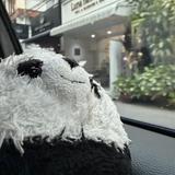 (分類:)位於 。 由 panda_sellss 提交(商品編號 1459641999,圖片 1)。簡介: 。