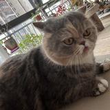 (分類:)位於 。 由 kohliy 提交(商品編號 1425617805,圖片 1)。簡介: 。