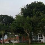 (Category: ) located in . Submitted by tisaybasya46828 (Listing ID 1432841838, Image 1). Description: .