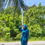 (Category: ) located in . Submitted by dielafahmi (Listing ID 1468554661, Image 1). Description: .