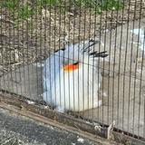 (Category: ) located in . Submitted by fisherman97 (Listing ID 1441725918, Image 1). Description: .