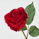 (Category: ) located in . Submitted by kovai70 (Listing ID 1368721725, Image 1). Description: .