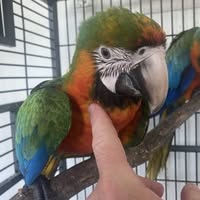 (Category: ) located in . Submitted by wisewater.d302bc (Listing ID 1441164284, Image 1). Description: .