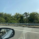 (Category: ) located in . Submitted by dahlia2211 (Listing ID 1439556400, Image 1). Description: .