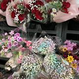 (Category: ) located in . Submitted by nvtshaa._ (Listing ID 1433323654, Image 1). Description: .