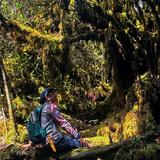 (Category: ) located in . Submitted by oneexpeditionmalaysia (Listing ID 1434322864, Image 1). Description: .
