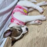 (Category: ) located in . Submitted by texaslim.chick (Listing ID 1470621752, Image 1). Description: .