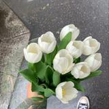 (Category: ) located in . Submitted by nraisyakh00 (Listing ID 1457857014, Image 1). Description: .