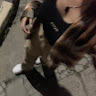 (Category: ) located in . Submitted by ynxllx.jpg (Listing ID 1453670593, Image 1). Description: .
