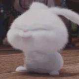 (分類:)位於 。 由 wannasales 提交(商品編號 1439947493,圖片 1)。簡介: 。
