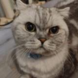 (分類:)位於 。 由 kc_kc_kcboy 提交(商品編號 1458272612,圖片 1)。簡介: 。