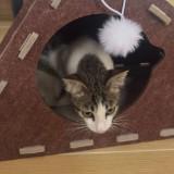 (Category: ) located in . Submitted by fwisican (Listing ID 1464726028, Image 1). Description: .