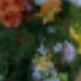 (Category: ) located in . Submitted by balllballballll (Listing ID 1440725685, Image 1). Description: .