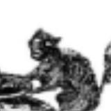 (Category: ) located in . Submitted by cattocursed (Listing ID 1434988516, Image 1). Description: .