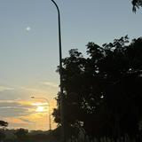 (Category: ) located in . Submitted by intnntsh (Listing ID 1452430513, Image 1). Description: .