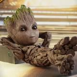 (分類:)位於 。 由 iamgroot1027 提交(商品編號 1439753976,圖片 1)。簡介: 。