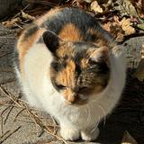 (Category: ) located in . Submitted by rk_rk (Listing ID 1435719835, Image 1). Description: .