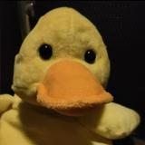 (Category: ) located in . Submitted by yourlocaltiger (Listing ID 1443784518, Image 1). Description: .