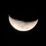 (Category: ) located in . Submitted by lebanan42069_2.0 (Listing ID 1435898913, Image 1). Description: .