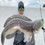 (Category: ) located in . Submitted by teynis__fishing (Listing ID 1450247128, Image 1). Description: .