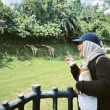(Category: ) located in . Submitted by farisyasfea (Listing ID 1449003512, Image 1). Description: .
