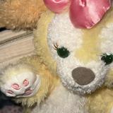 (分類:)位於 。 由 lye_y 提交(商品編號 1460076266,圖片 1)。簡介: 。