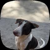 (Category: ) located in . Submitted by mdrake (Listing ID 1442318931, Image 1). Description: .