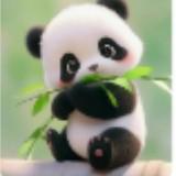 (分類:)位於 。 由 pandababy2026 提交(商品編號 1458510030,圖片 1)。簡介: 。