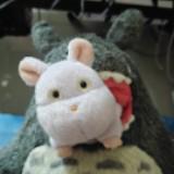 (Category: ) located in . Submitted by missjeym_ (Listing ID 1437091963, Image 1). Description: .