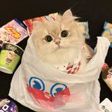 (Category: ) located in . Submitted by shokohabeg38860 (Listing ID 1437853824, Image 1). Description: .
