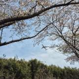 (分類:)位於 。 由 irishuang10 提交(商品編號 1467457785,圖片 1)。簡介: 。