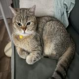 (分類:)位於 。 由 ooheheoo 提交(商品編號 1467324430,圖片 1)。簡介: 。