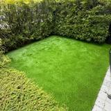 (Category: ) located in . Submitted by gardening-master (Listing ID 1392125075, Image 1). Description: .