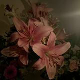 (Category: ) located in . Submitted by 008_xy (Listing ID 1469807244, Image 1). Description: .