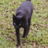 (Category: ) located in . Submitted by c0lby3 (Listing ID 1438605354, Image 1). Description: .