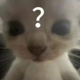 (分類:)位於 。 由 ctc._. 提交(商品編號 1456717963,圖片 1)。簡介: 。